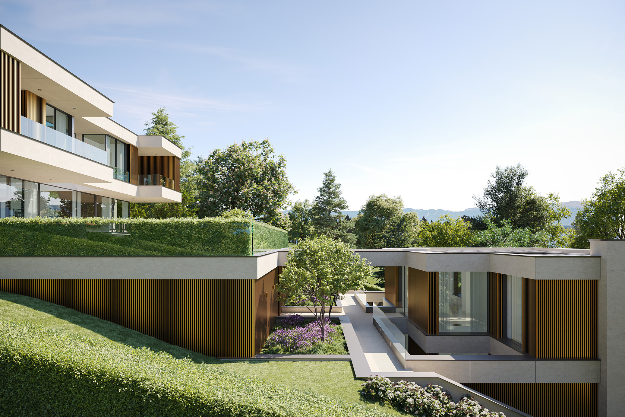 Image of current project