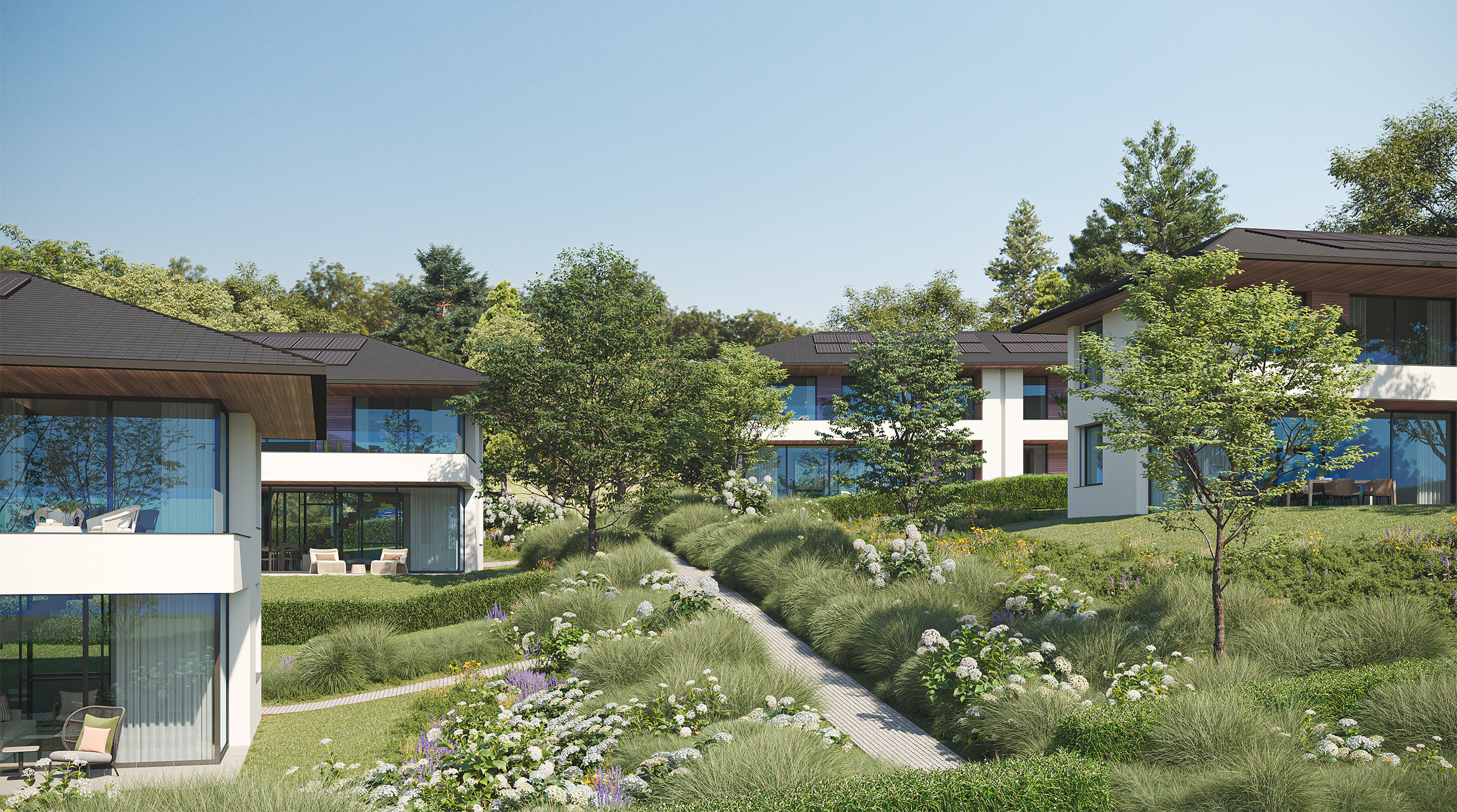 Image of current project